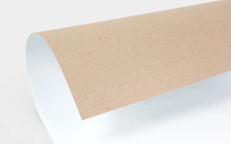 CCNB Paper