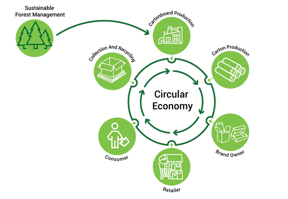 Custom Printed Boxes | online packaging solution