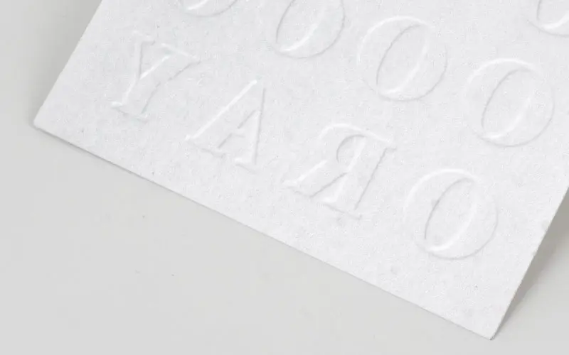 CCNB Paper